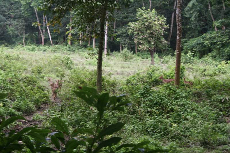 India & Nepal 2011 - 0557